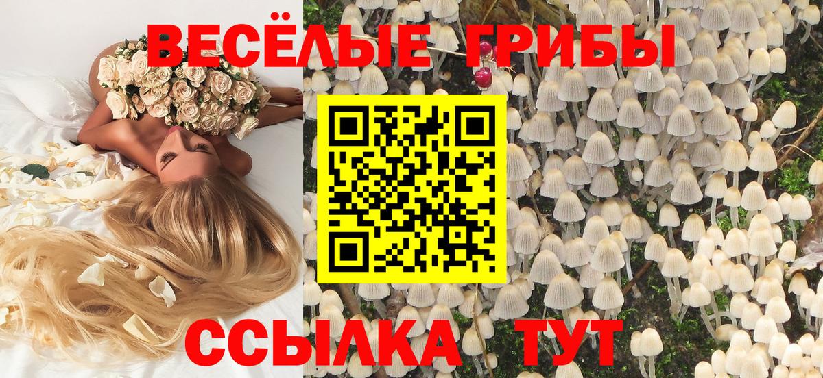 Асбест  Галлюциногенные грибы Cubensis  Галлюциногенные грибы прущие грибы  Вход с VPN 